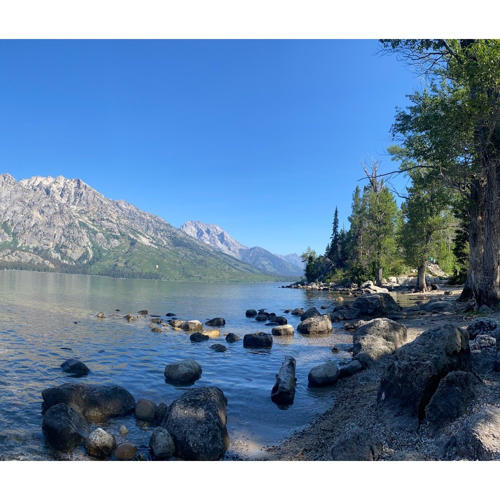 Meet your Posher, Bonnie